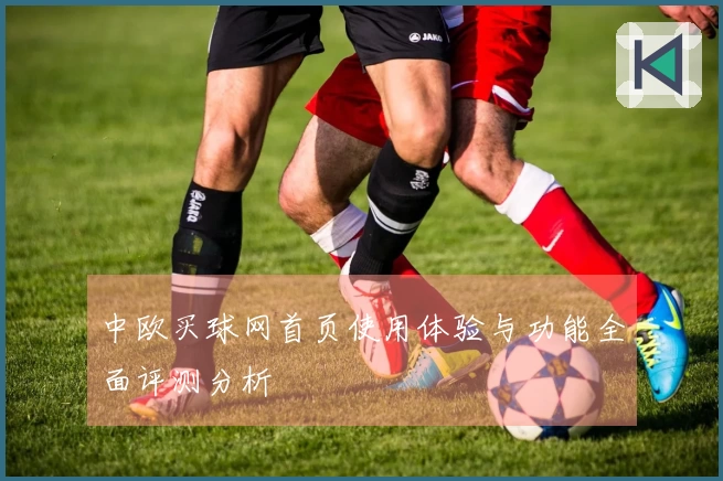 中欧买球网首页使用体验与功能全面评测分析