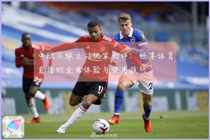 中欧买球主站玩家测评：畅享体育直播的全面体验与使用技巧