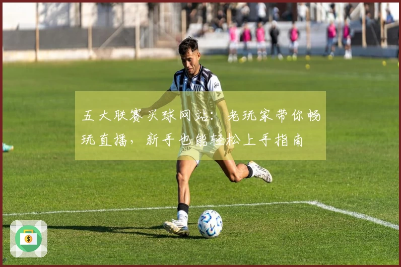 五大联赛买球网站：老玩家带你畅玩直播，新手也能轻松上手指南