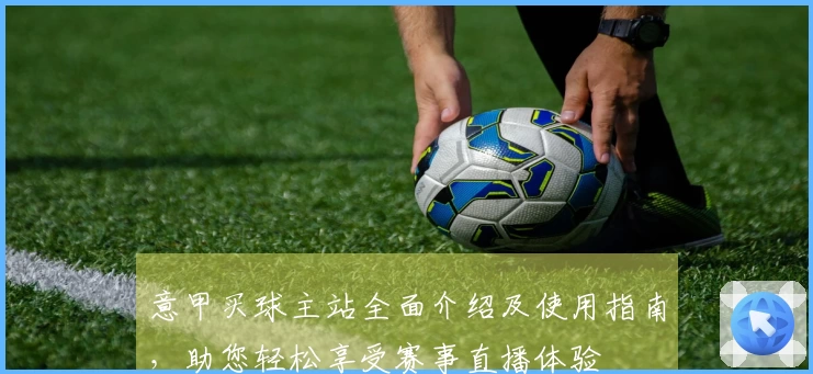 意甲买球主站全面介绍及使用指南，助您轻松享受赛事直播体验