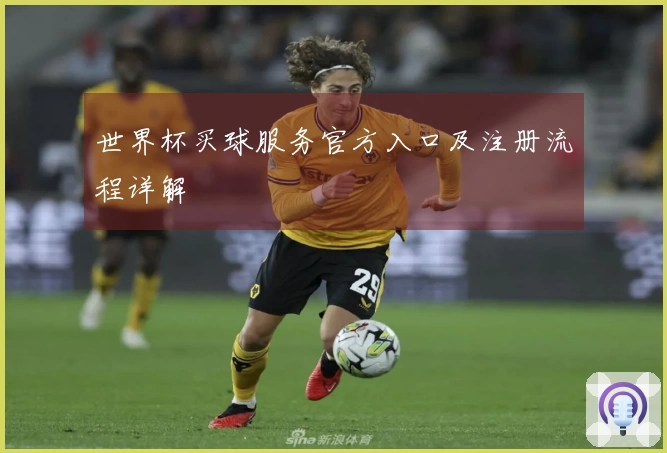 世界杯买球服务官方入口及注册流程详解