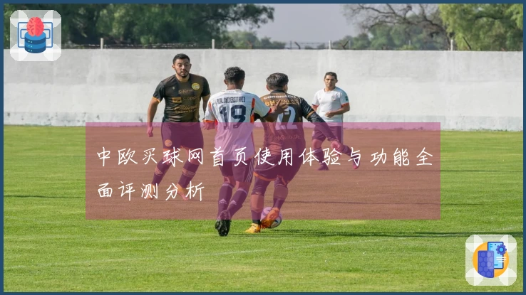 中欧买球网首页使用体验与功能全面评测分析