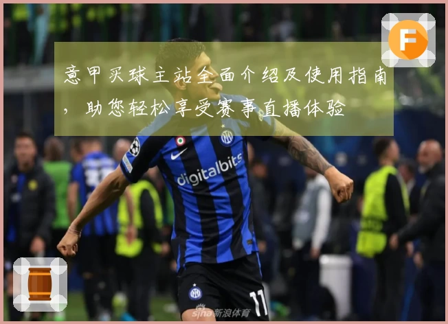 意甲买球主站全面介绍及使用指南，助您轻松享受赛事直播体验