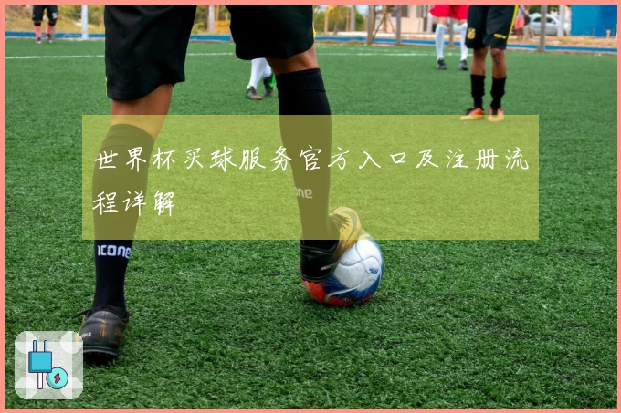 世界杯买球服务官方入口及注册流程详解